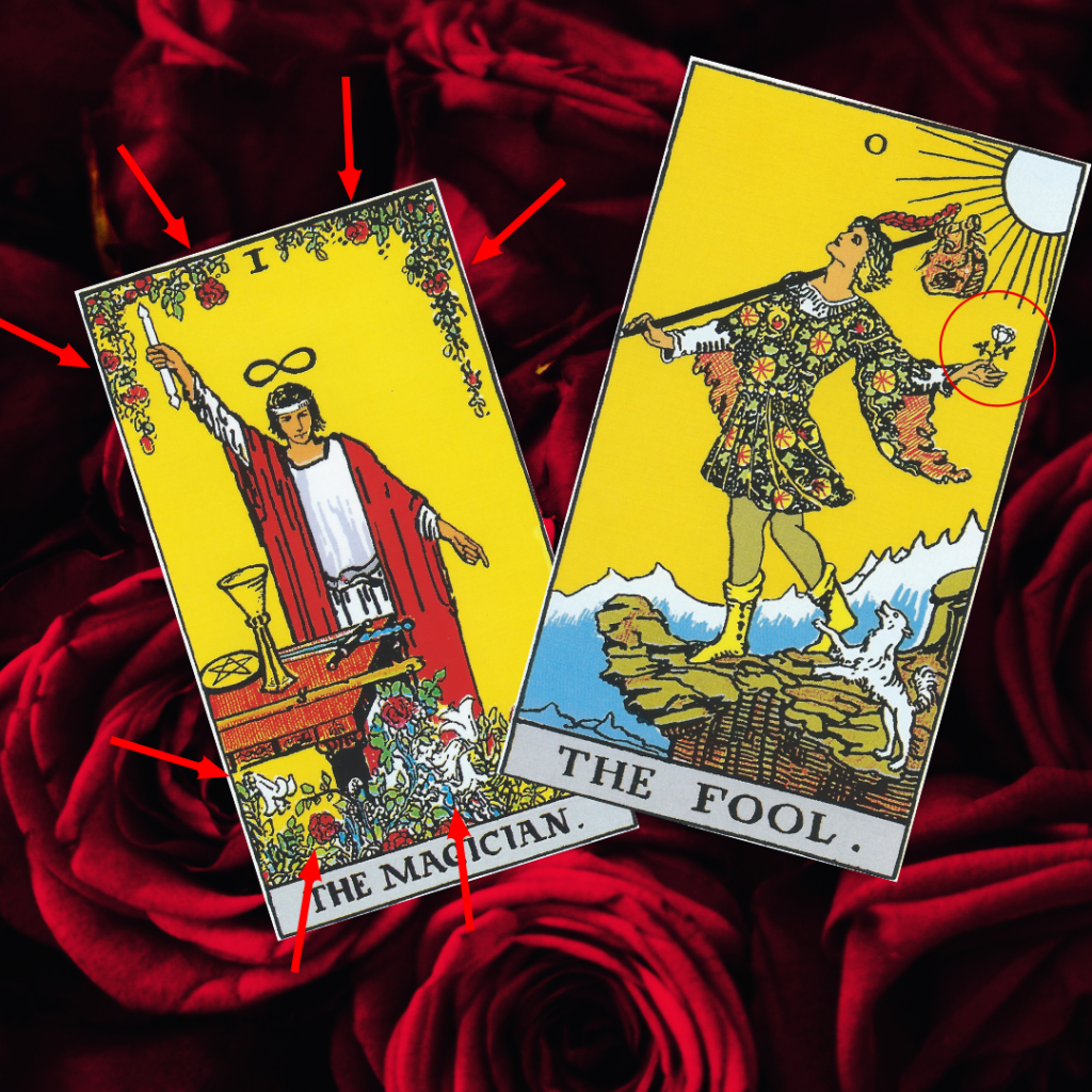 Tarot Symbolism: The Rose (& Lily)