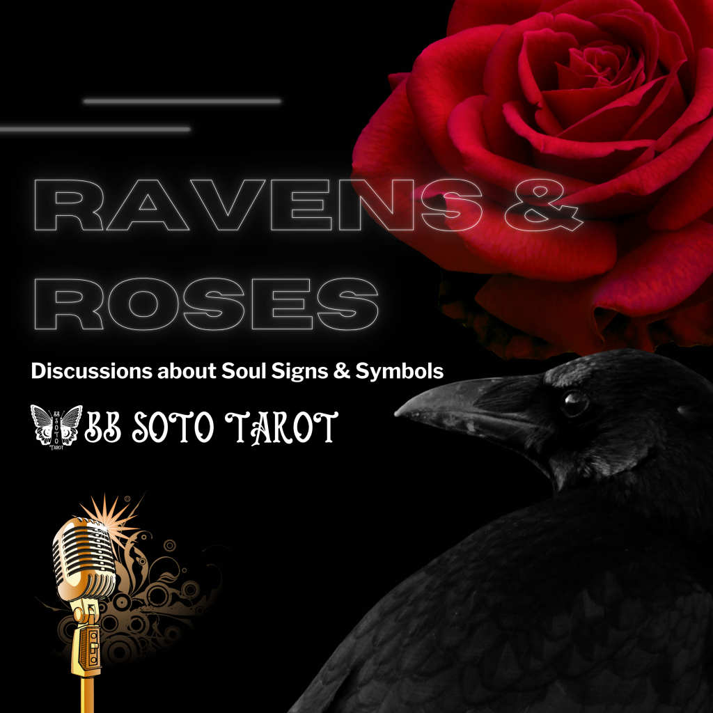 Ravens (And Crows) – New Podcast